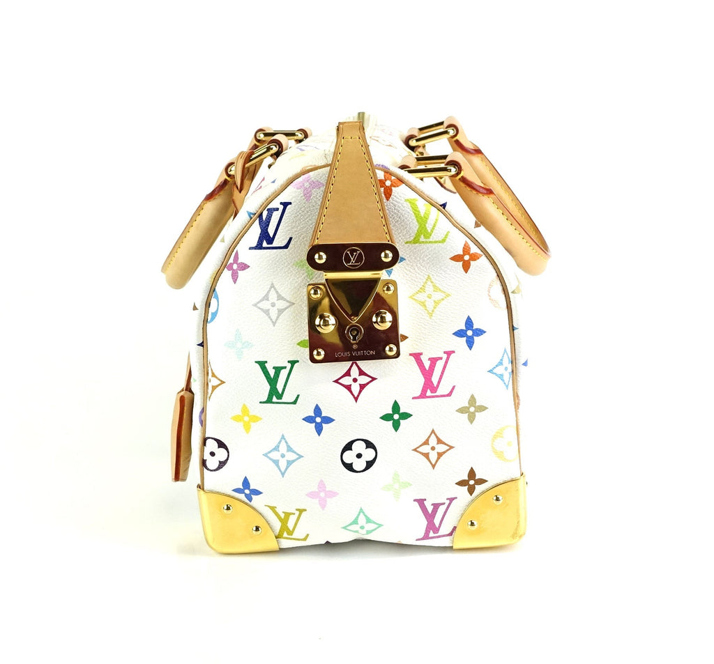 Louis Vuitto Speedy 30 Multicolore Canvas Handbag