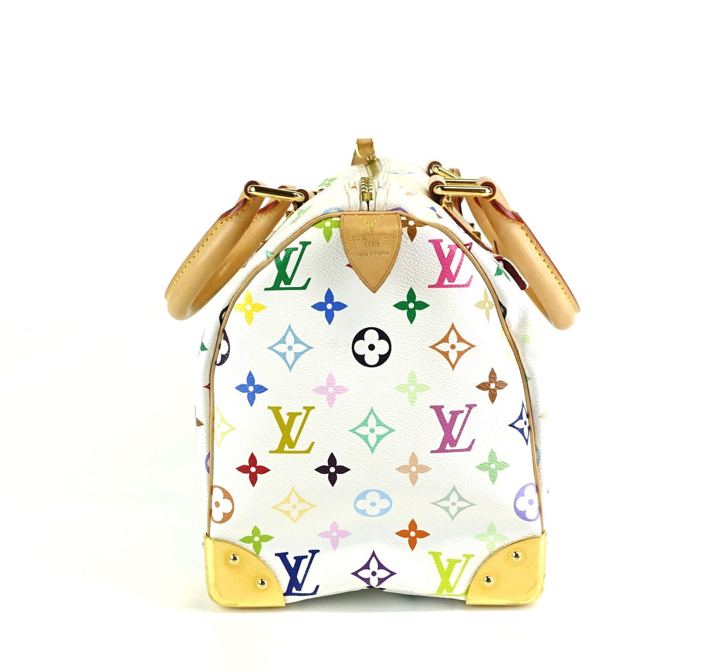Louis Vuitto Speedy 30 Multicolore Canvas Handbag