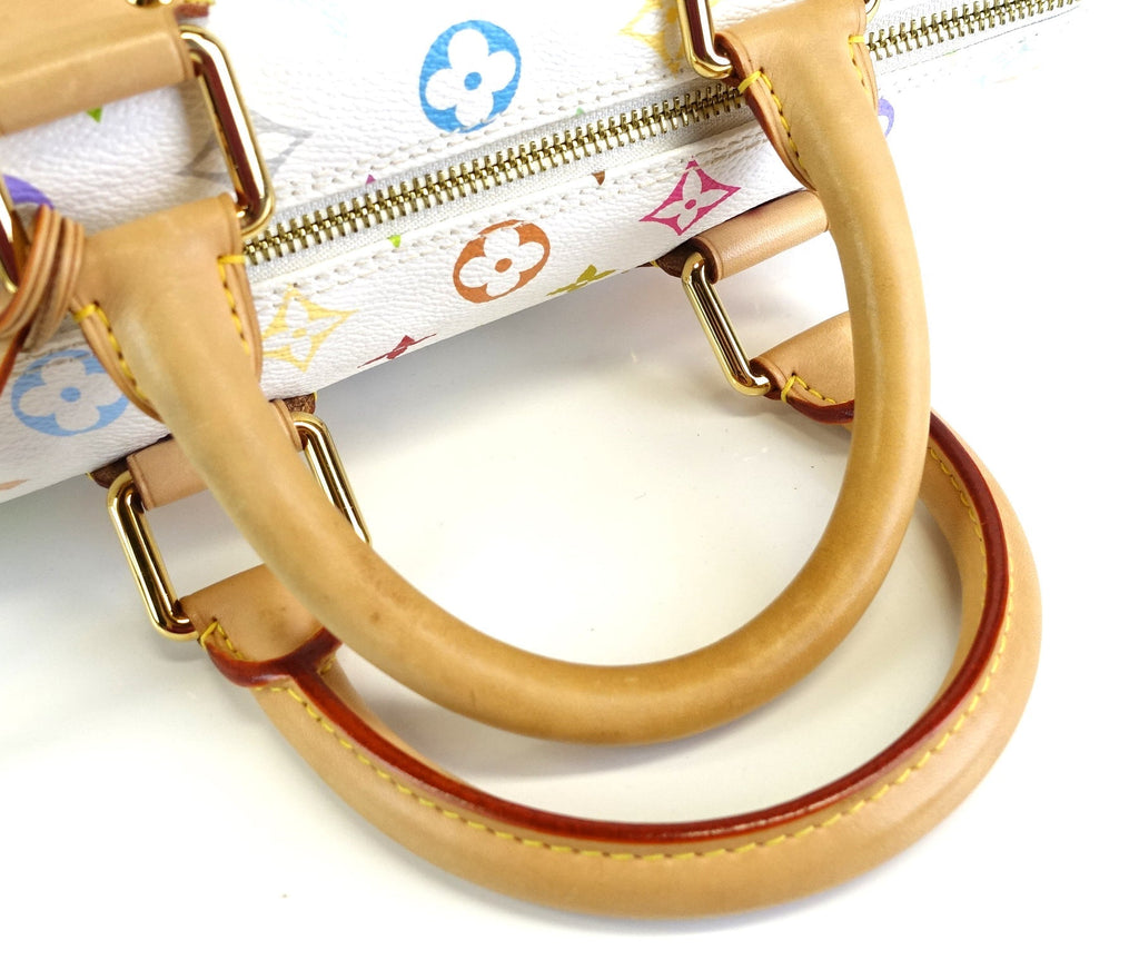 Louis Vuitto Speedy 30 Multicolore Canvas Handbag