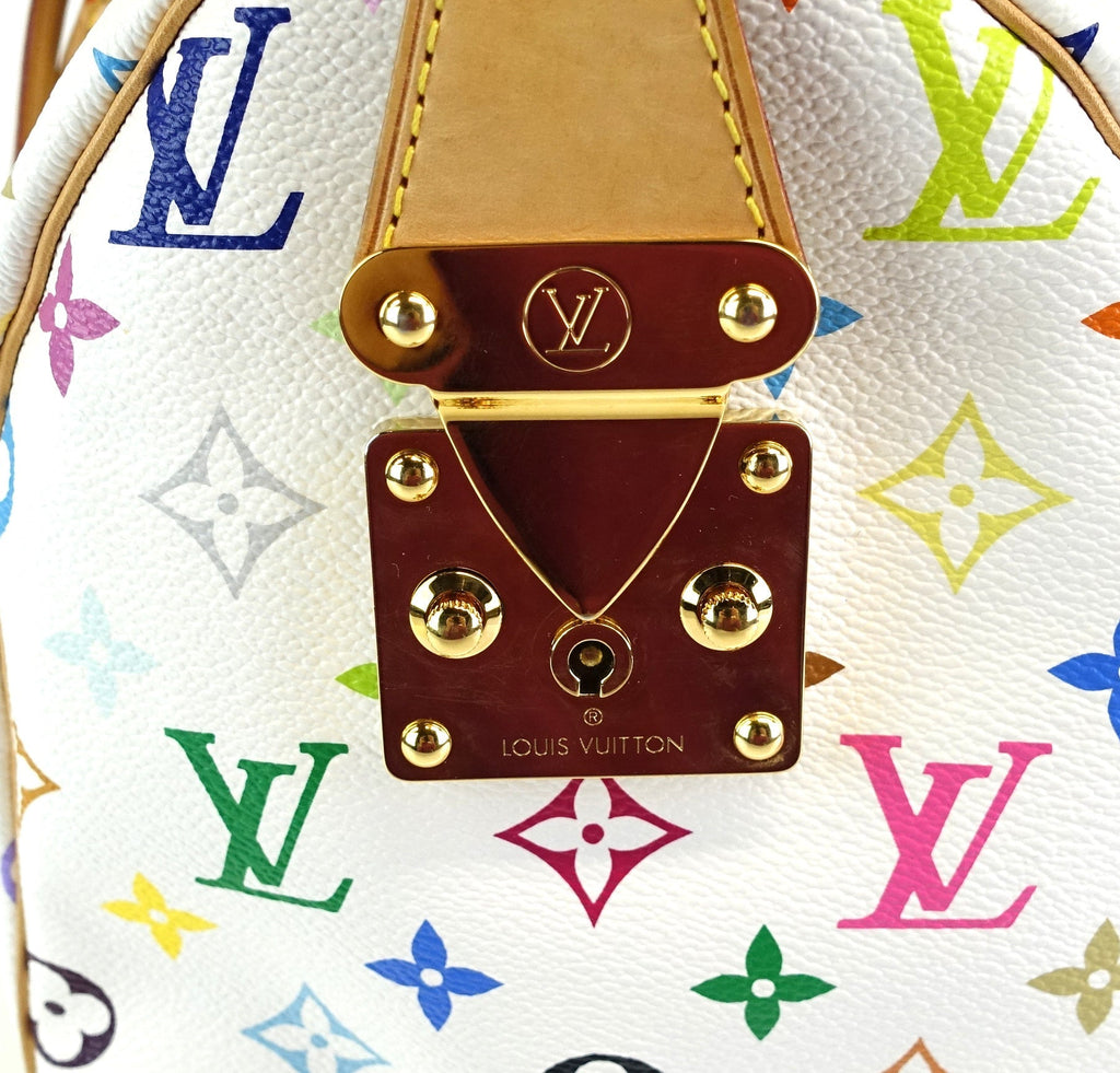Louis Vuitto Speedy 30 Multicolore Canvas Handbag