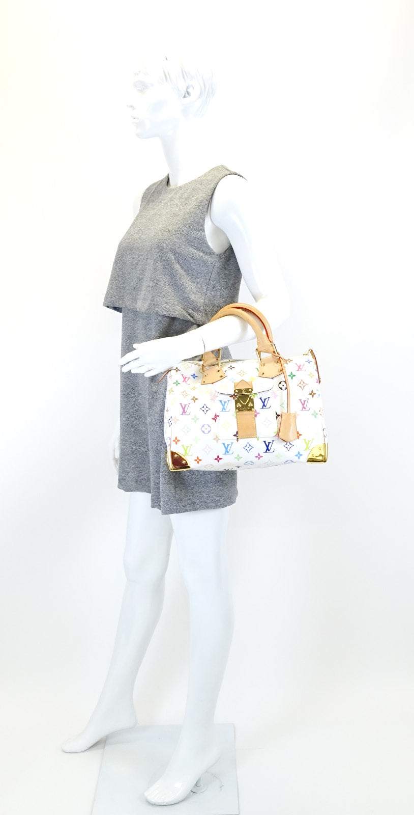 Louis Vuitto Speedy 30 Multicolore Canvas Handbag