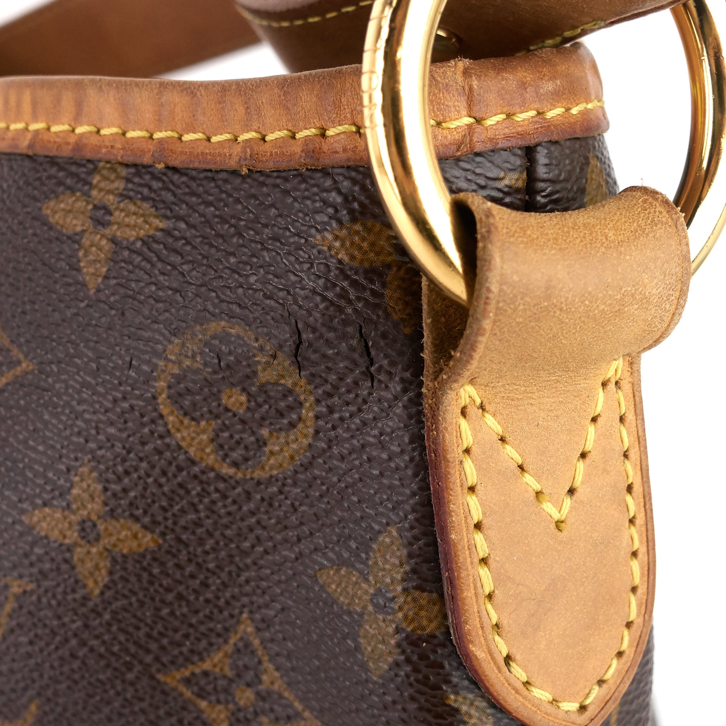 Louis Vuitto Delightful MM Monogram Canvas Bag