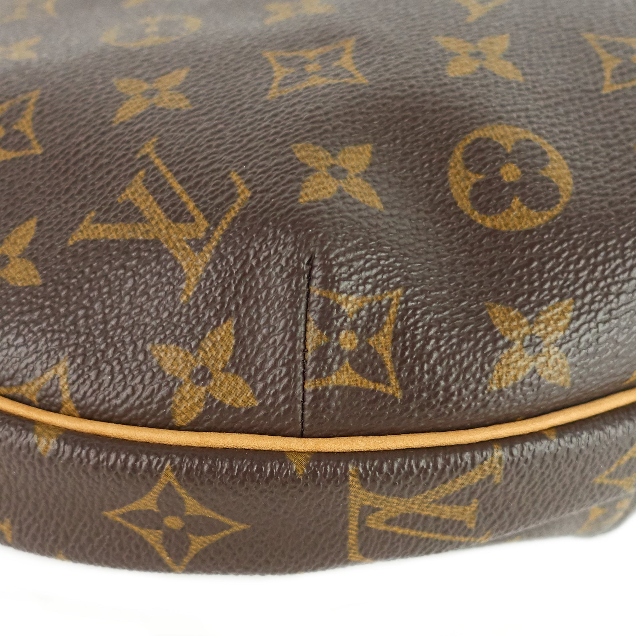 Louis Vuitto Croissant MM Monogram Canvas Bag