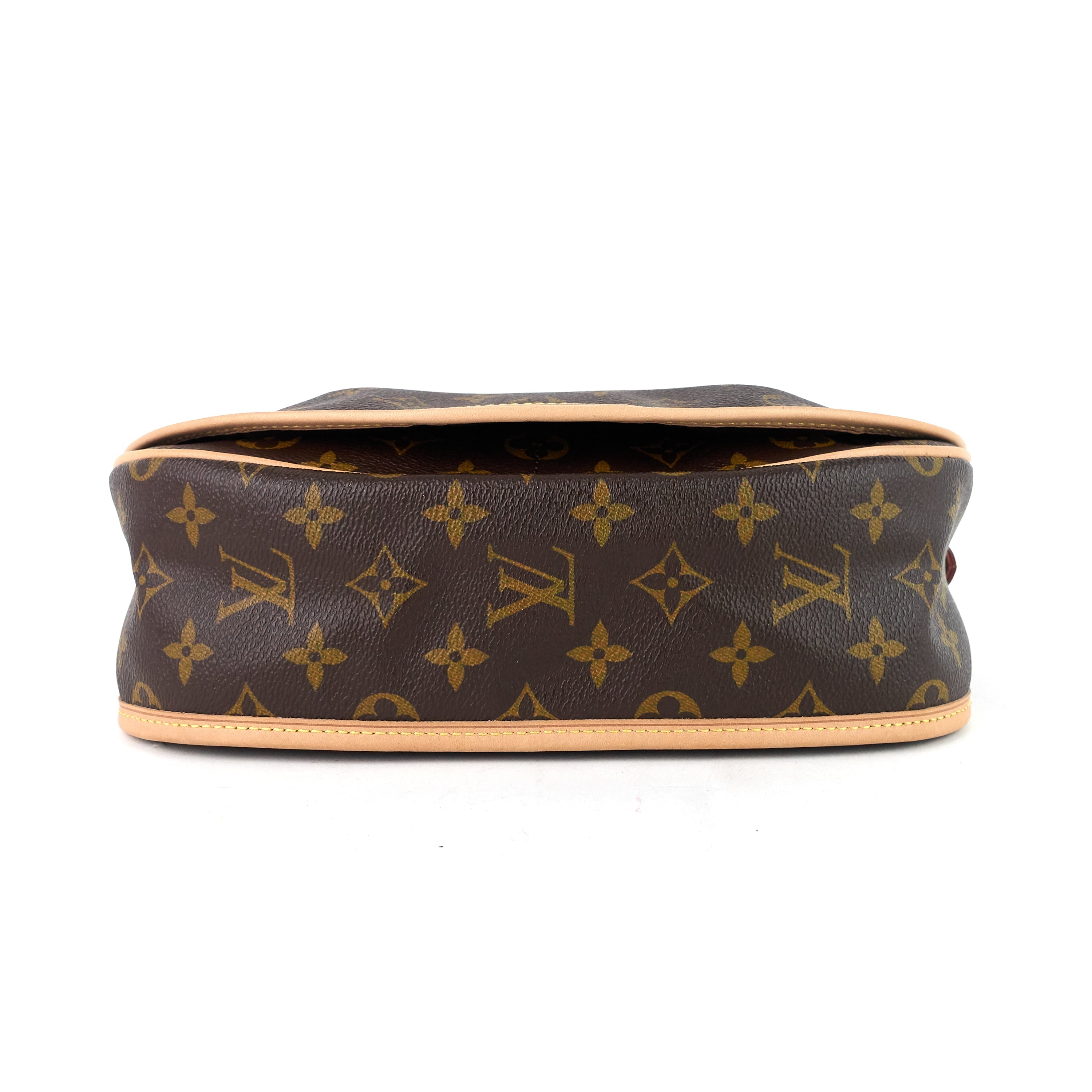 Louis Vuitto Menilmontant PM Monogram Canvas Bag