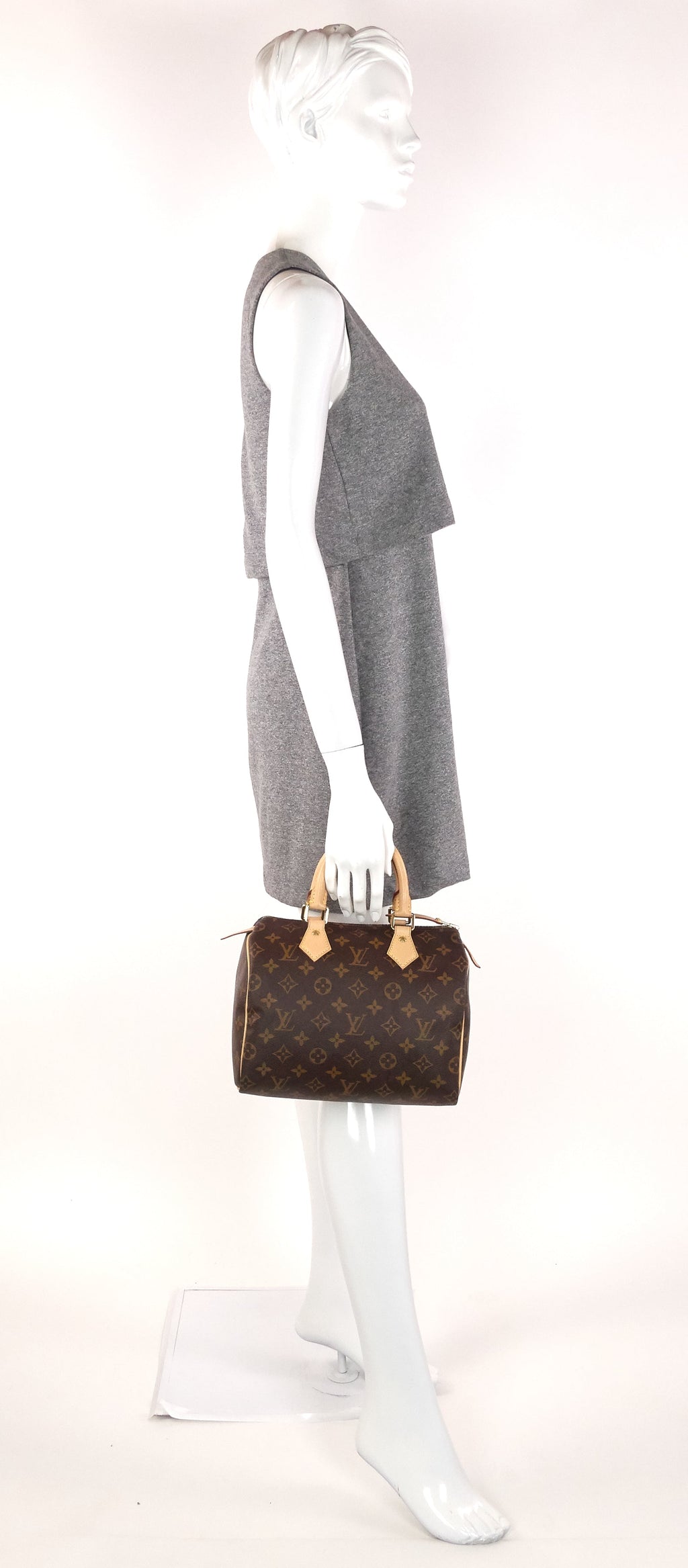 Louis Vuitto Speedy 25 Monogram Canvas Bag