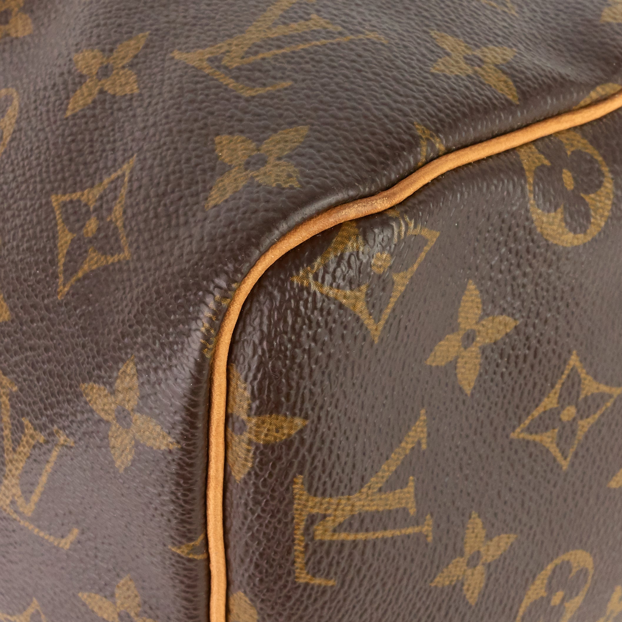 Louis Vuitto Speedy 30 Monogram Canvas Bag