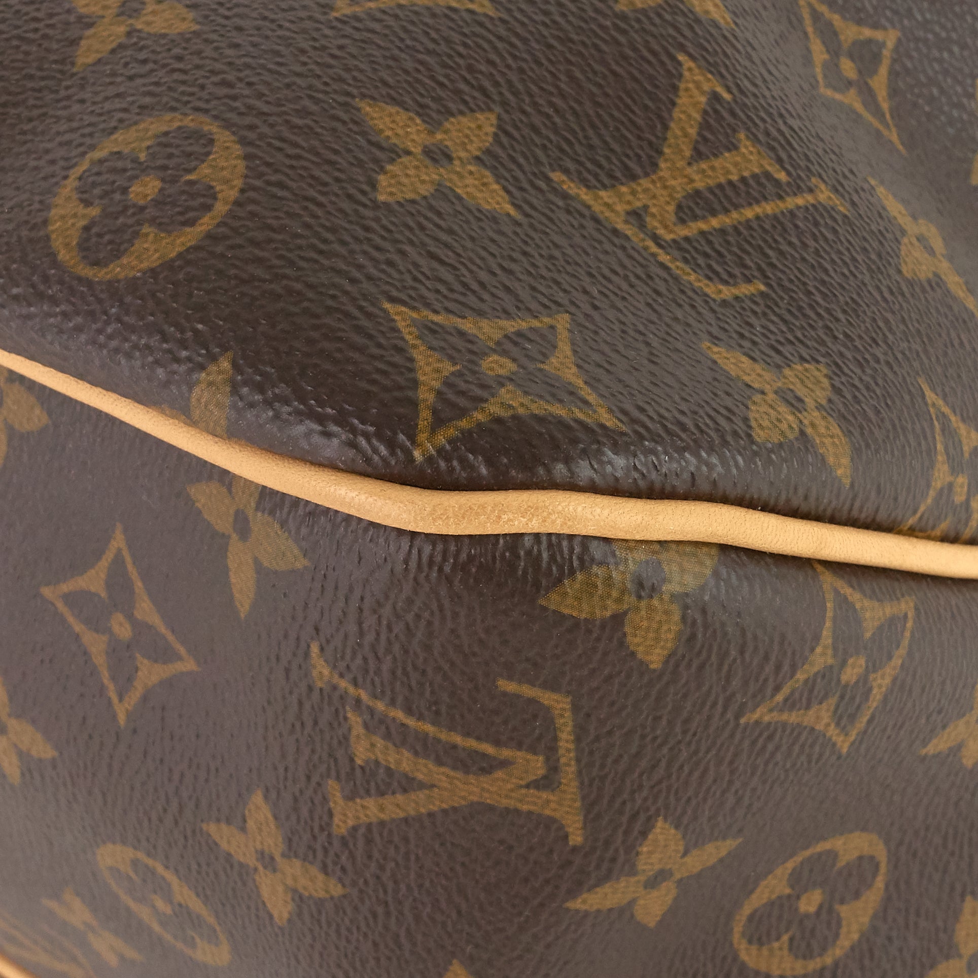 Louis Vuitto Delightful NM MM Monogram Canvas Bag