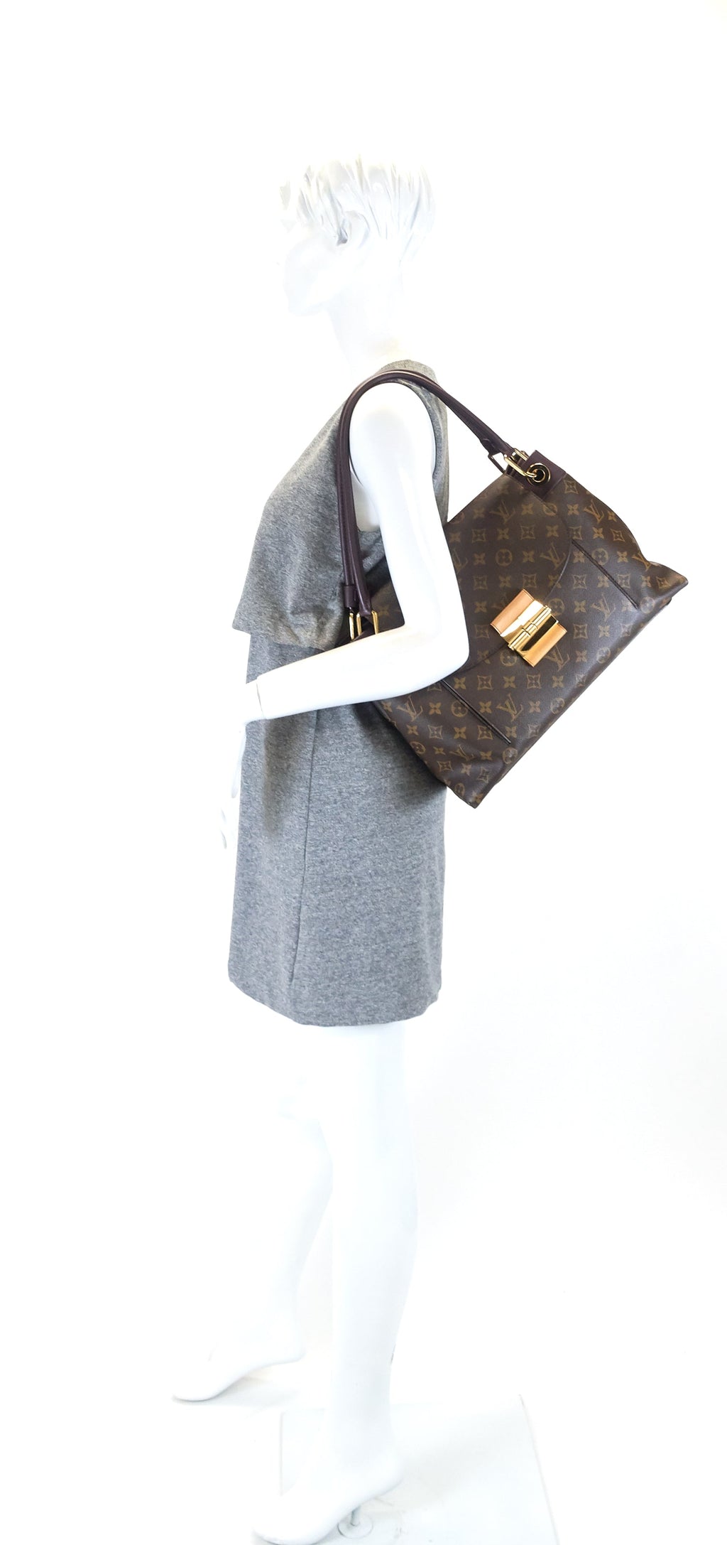 Louis Vuitto Olympe Monogram Canvas Bag