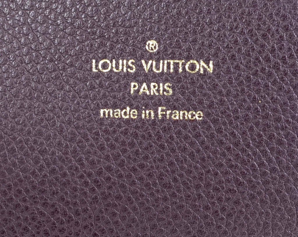 Louis Vuitto Olympe Monogram Canvas Bag