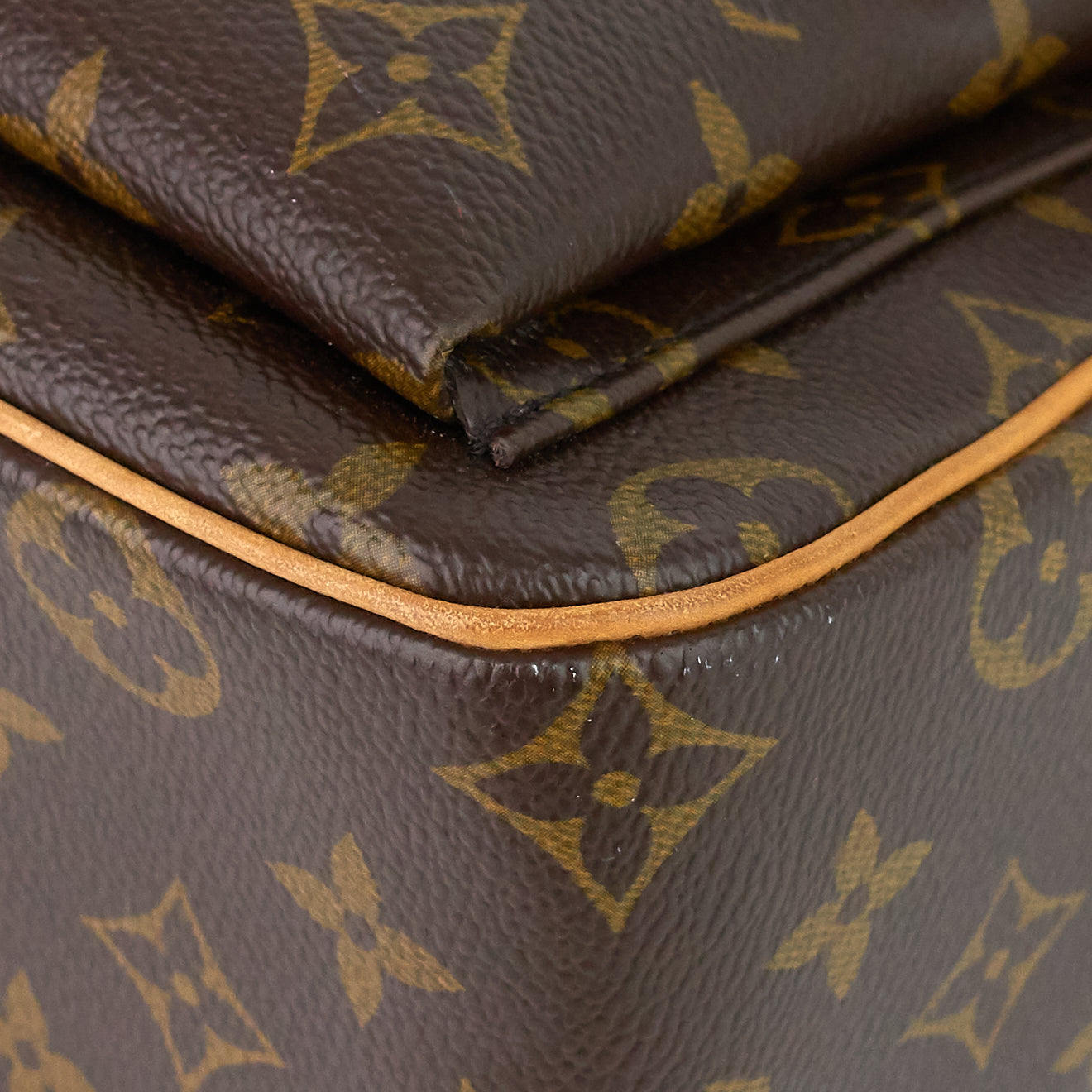 Louis Vuitto Viva Cite GM Monogram Canvas Bag