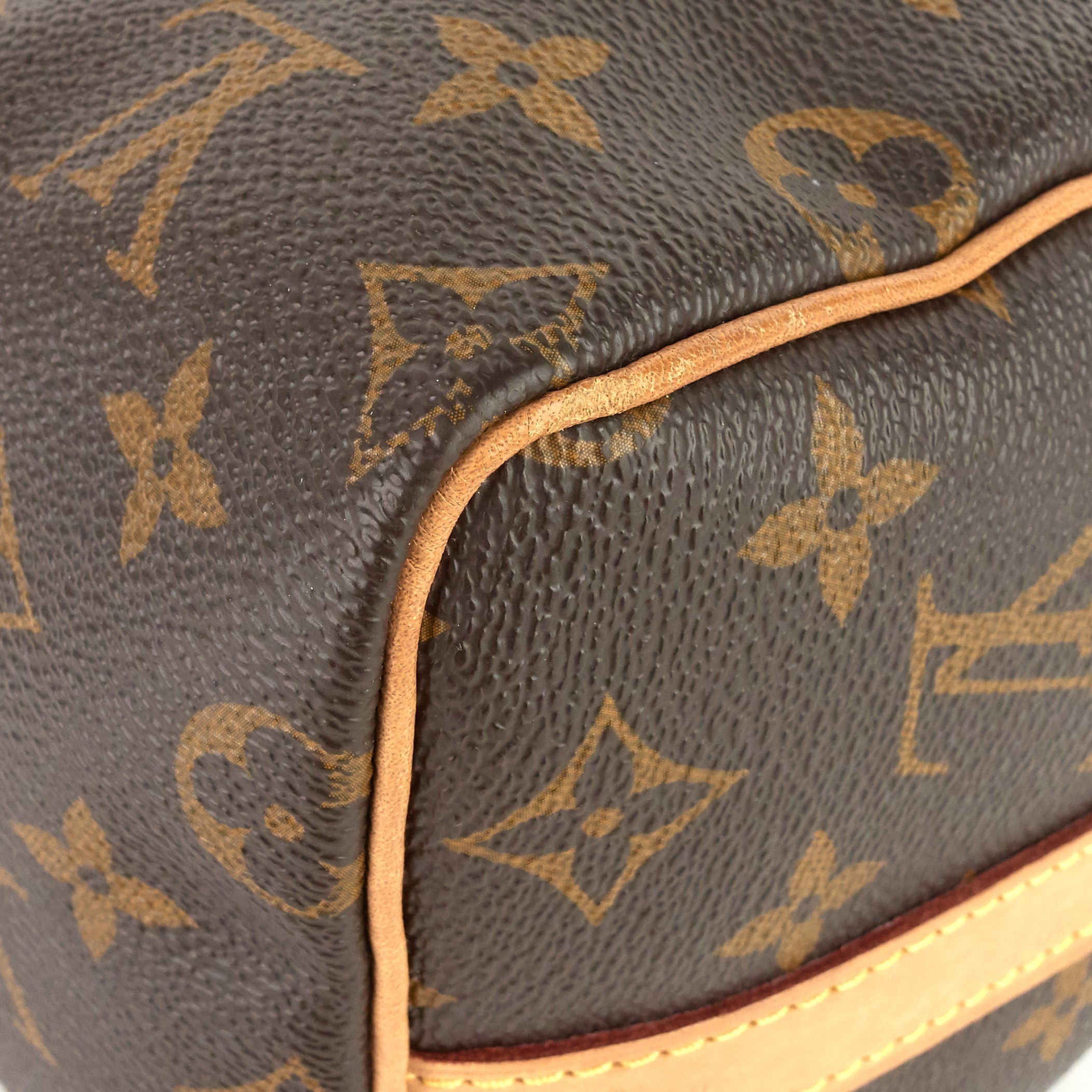 Louis Vuitto Speedy BandouliÃ¨re 25 Monogram Canvas Bag