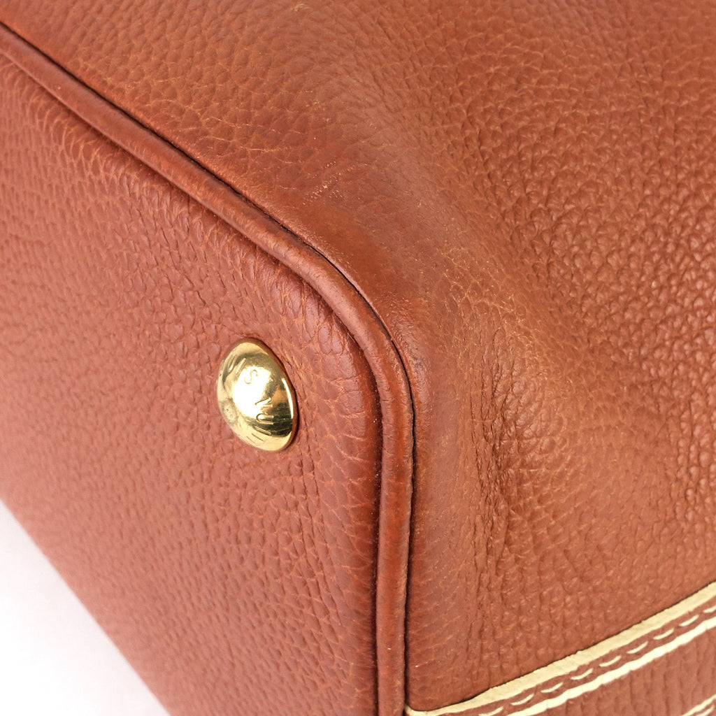 Louis Vuitto 'Trunks and Bags' Shoe Tobago Leather Tote Bag
