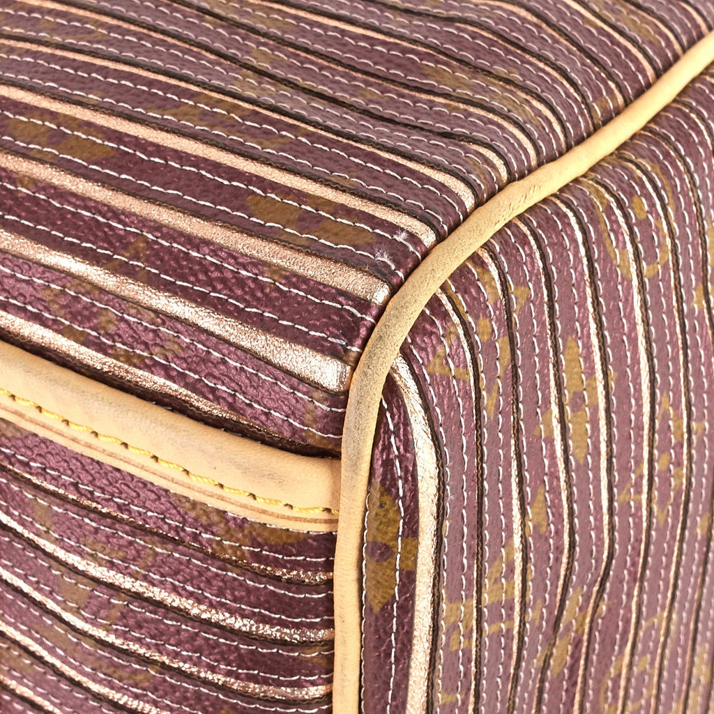 Louis Vuitto Eden Speedy BandouliÃ¨re 30 Canvas Handbag