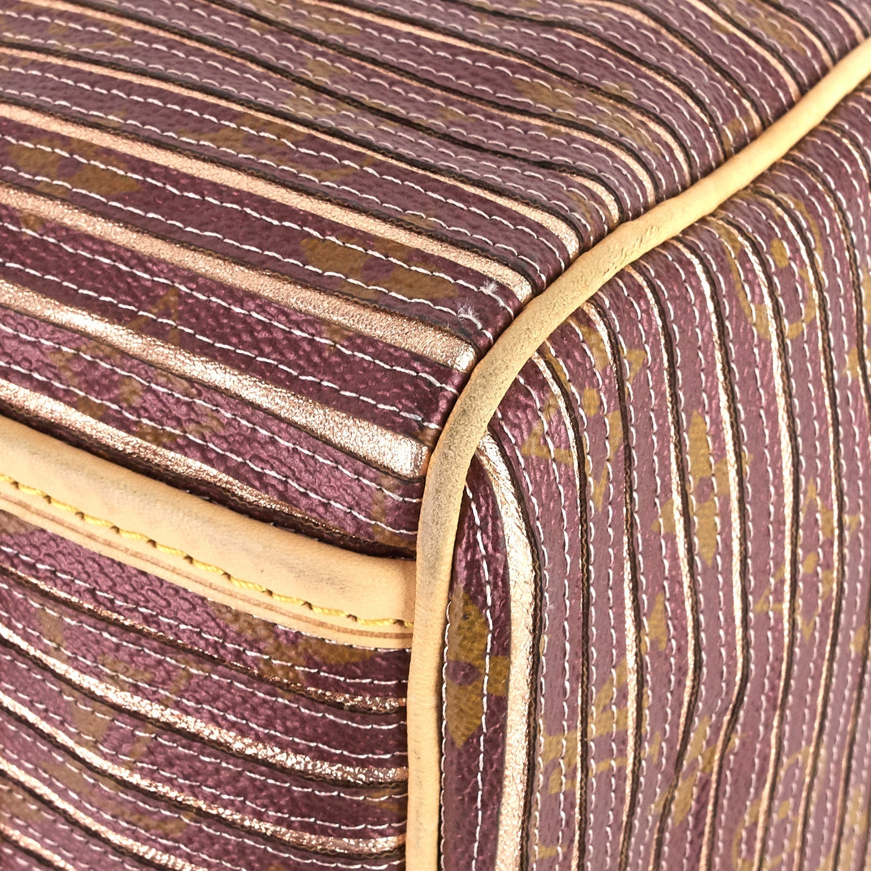 Louis Vuitto Eden Speedy BandouliÃ¨re 30 Canvas Handbag