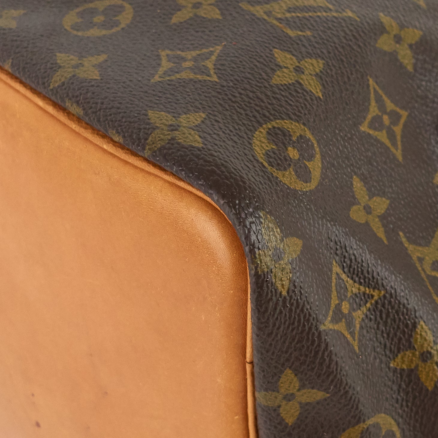 Louis Vuitto Petite NoÃ© Monogram Canvas Bag