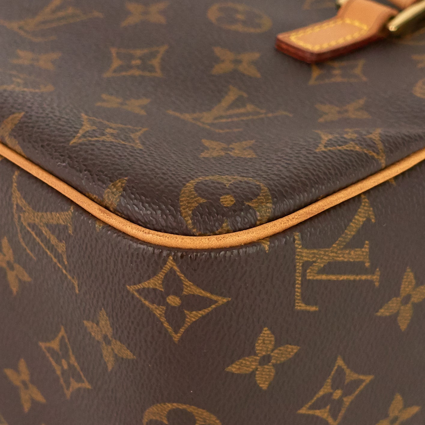 Louis Vuitto Cite MM Monogram Canvas Bag