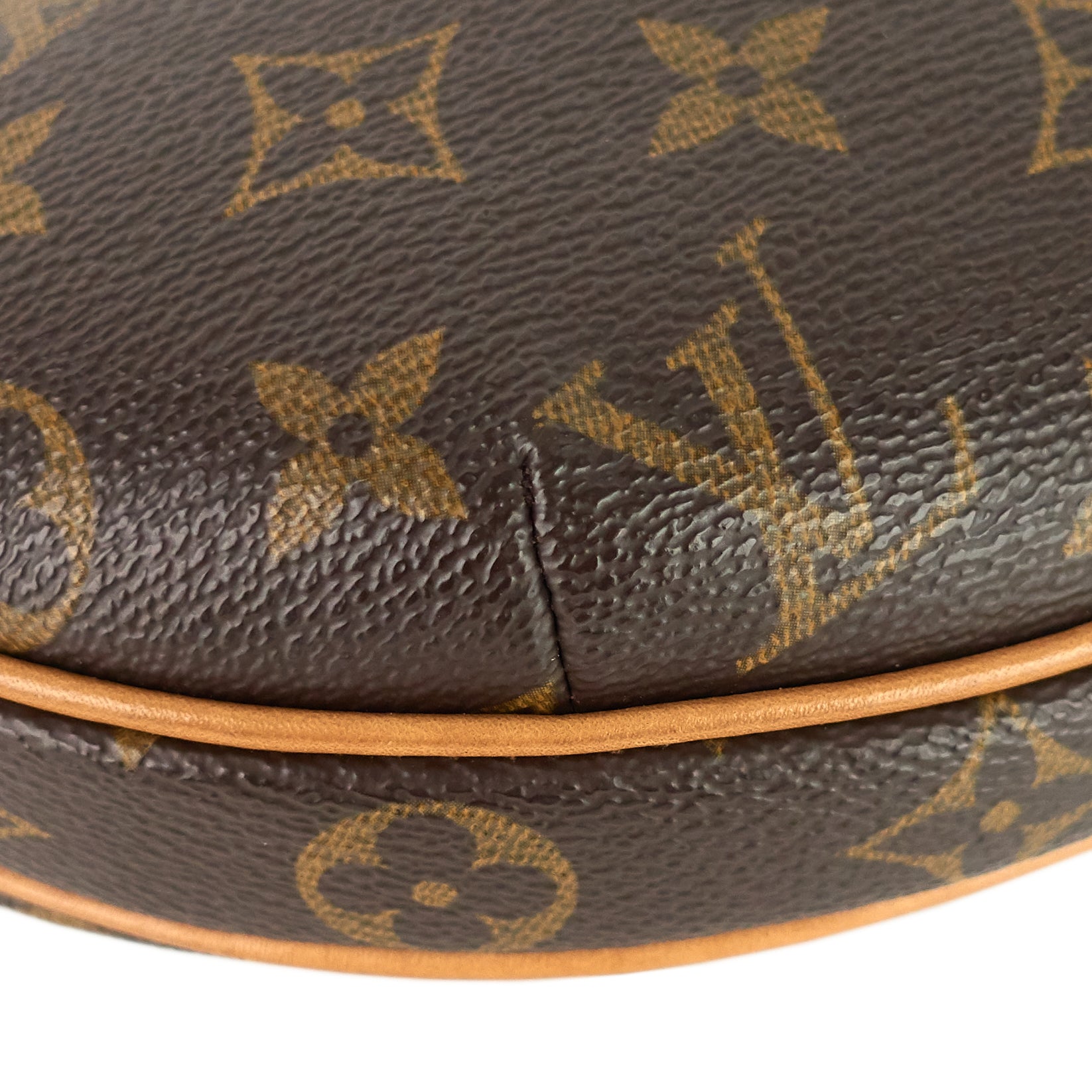 Louis Vuitto Croissant PM Monogram Canvas Bag