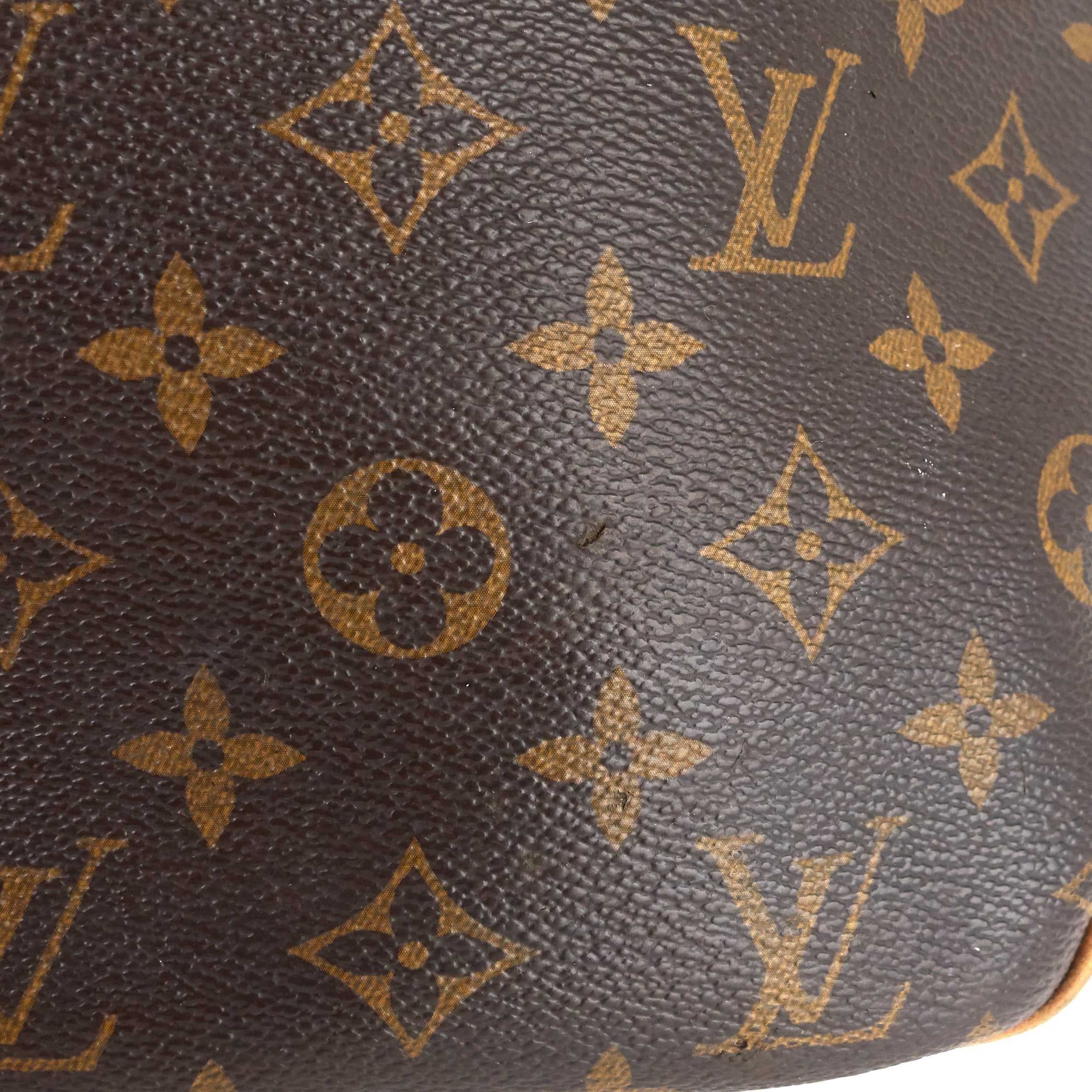 Louis Vuitto Delightful MM Monogram Canvas Bag