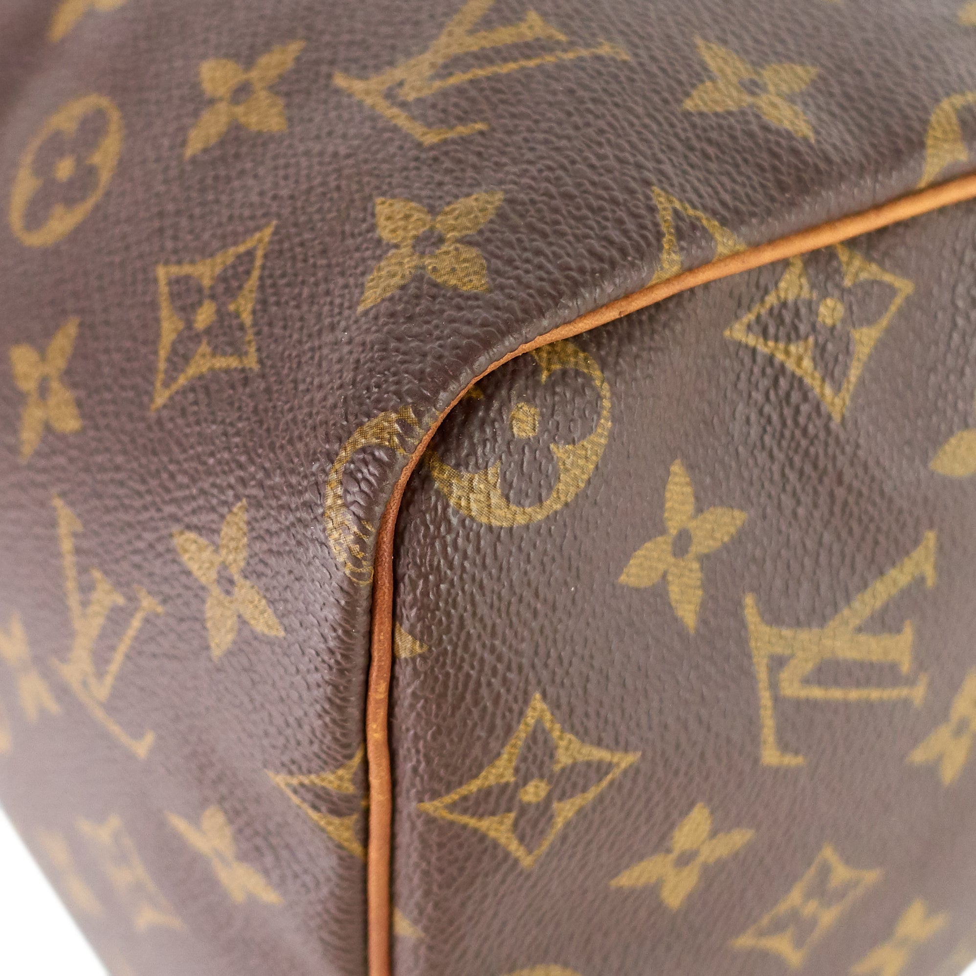Louis Vuitto Speedy 30 Monogram Canvas Bag