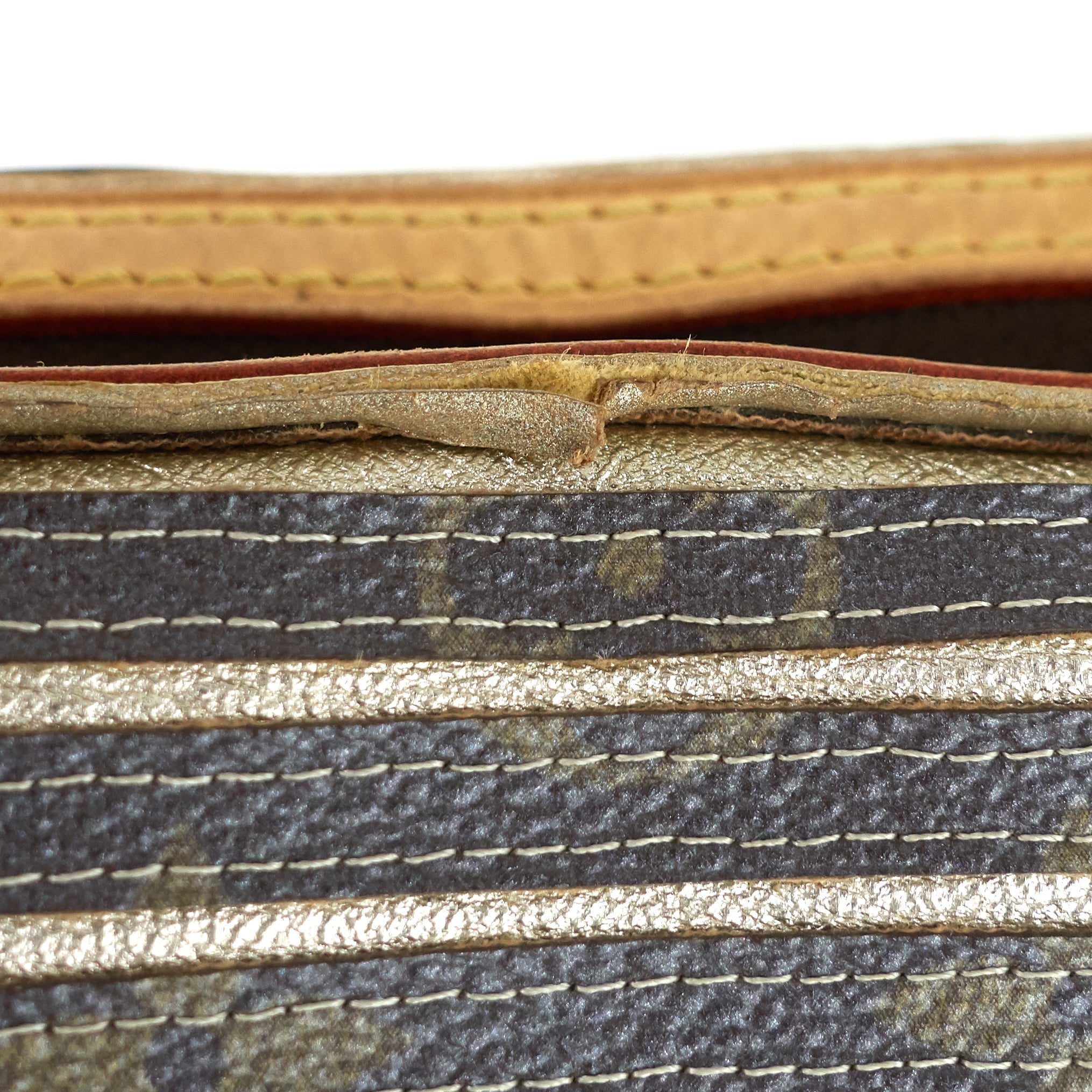 Louis Vuitto Eden Speedy Bandouliere 30 Monogram Canvas Bag