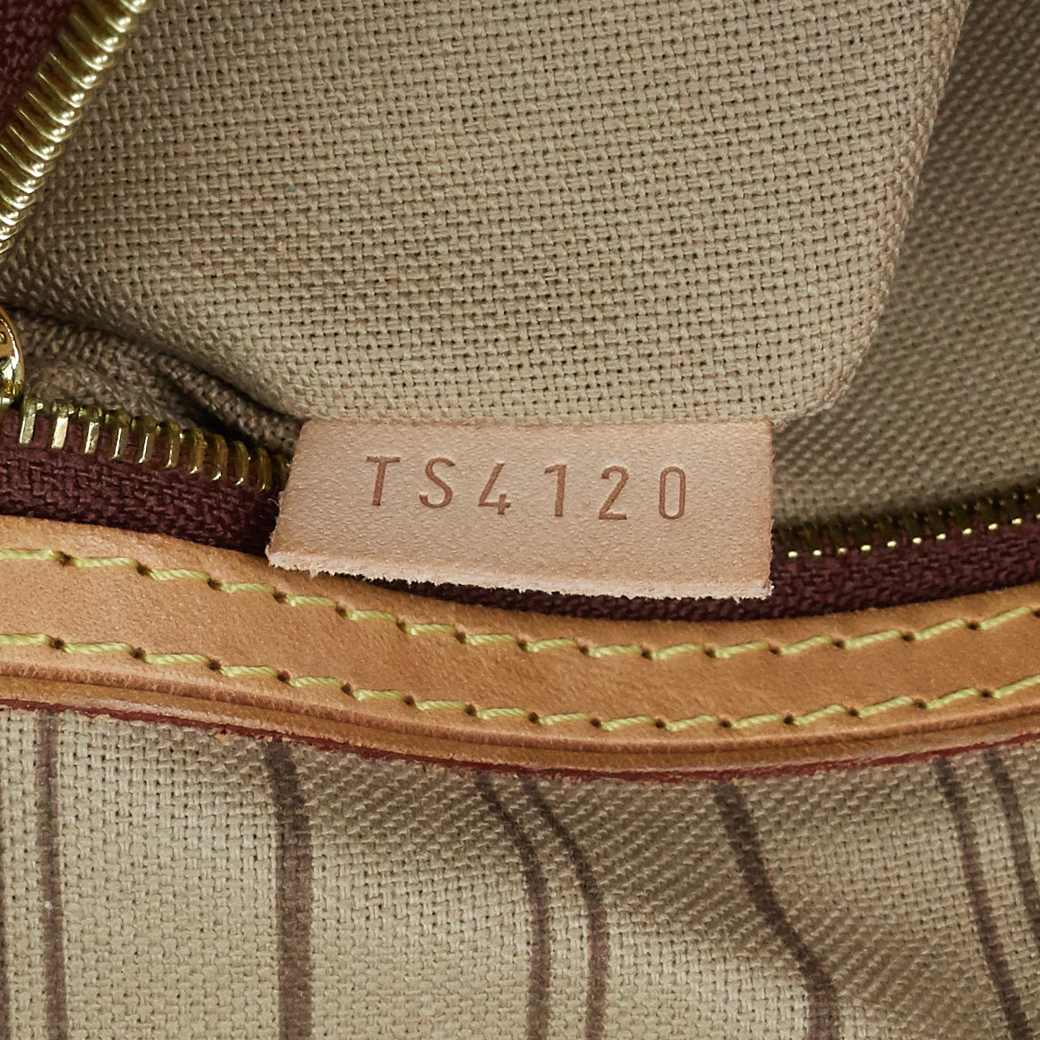 Louis Vuitto Delightful MM Monogram Canvas Bag