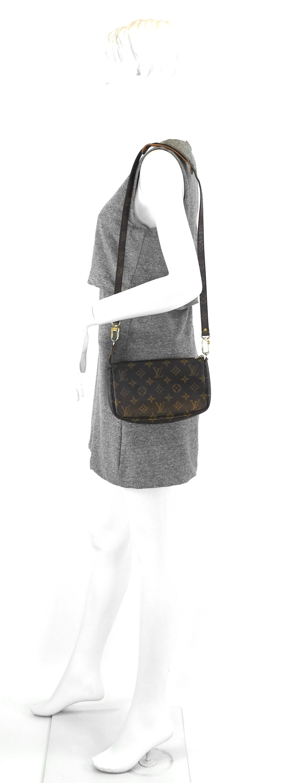 Louis Vuitto Pochette Accessoires Monogram Canvas Bag