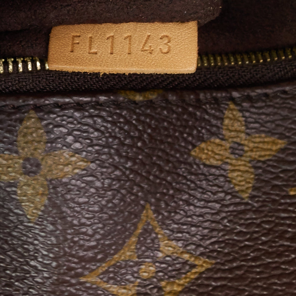 Louis Vuitto MÃ©tis Monogram Canvas Hobo Bag