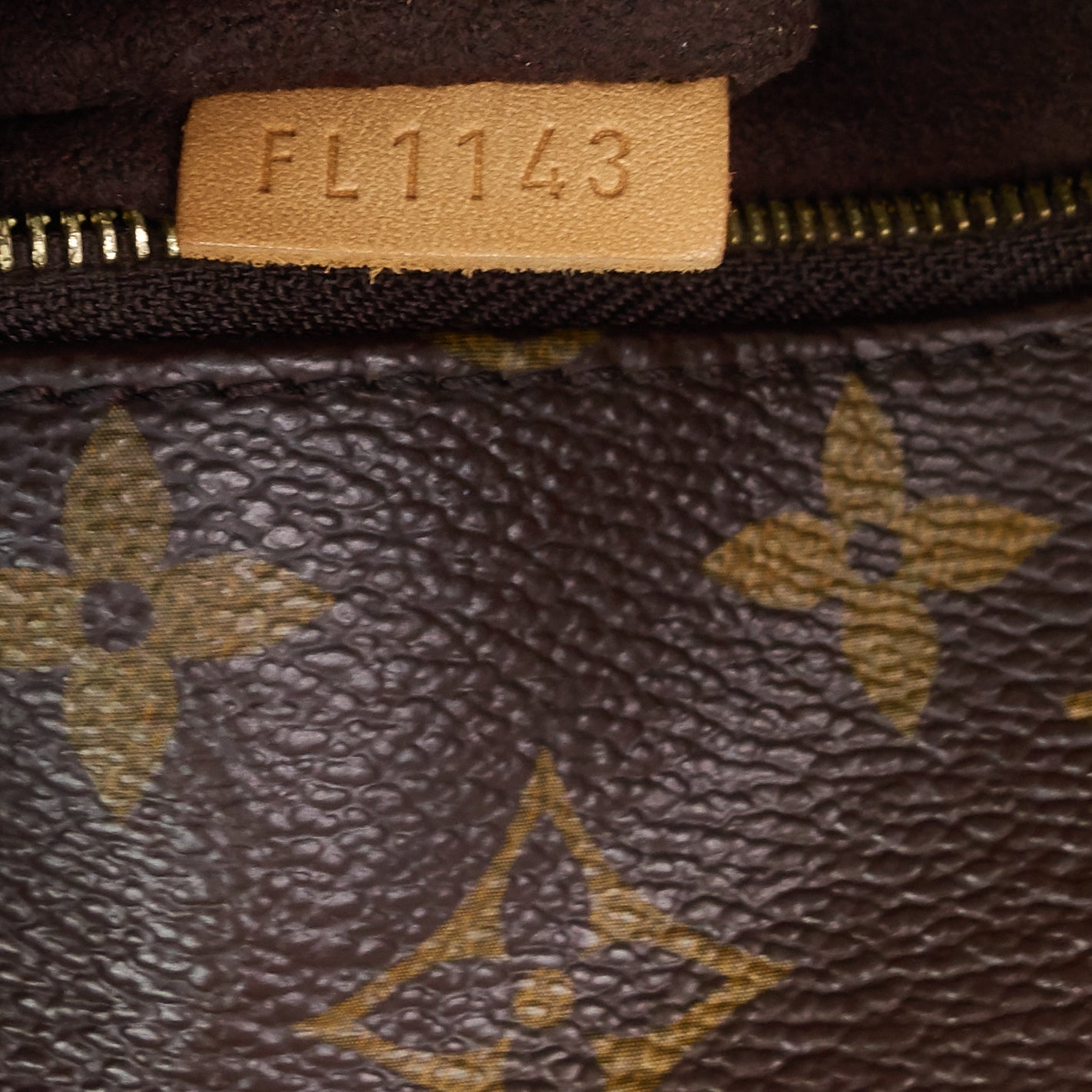 Louis Vuitto MÃ©tis Monogram Canvas Hobo Bag