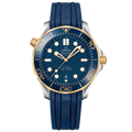 OMEGA Seamaster Diver 300M 210.22.42.20.03.001