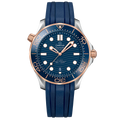 OMEGA Seamaster Diver 300M 210.22.42.20.03.002