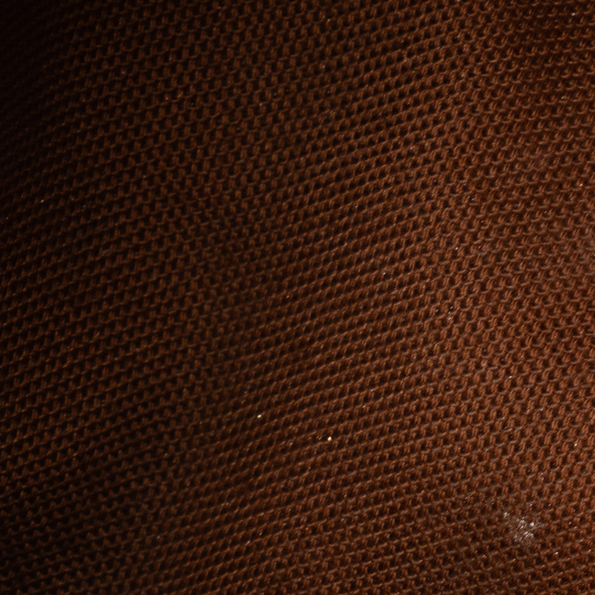 Brown Louis Vuitton Monogram Trotteur Crossbody Bag