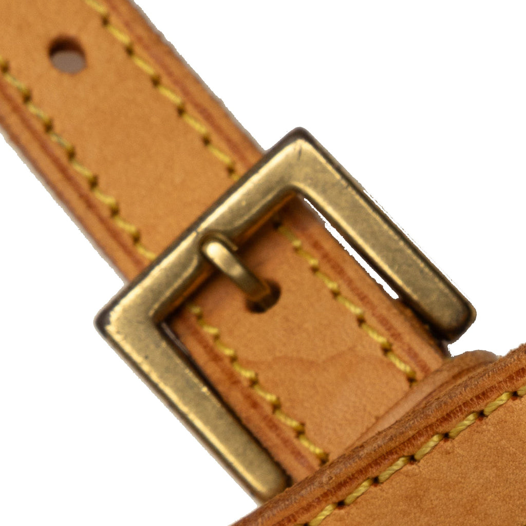 Brown Louis Vuitton Monogram Trotteur Crossbody Bag