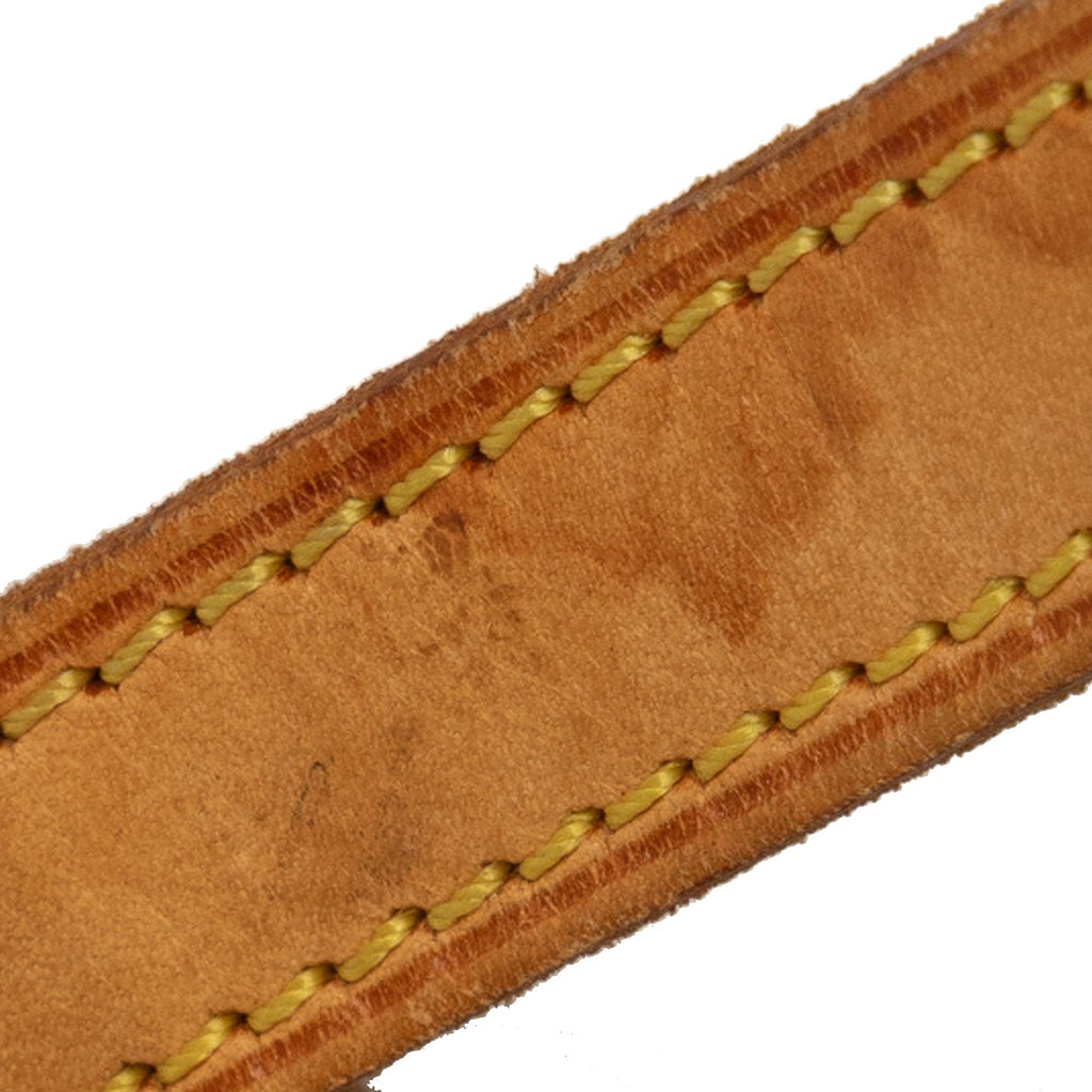 Brown Louis Vuitton Monogram Trotteur Crossbody Bag