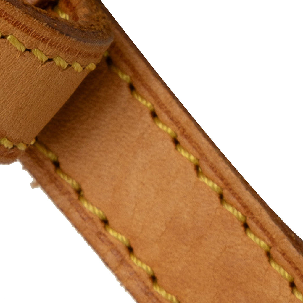 Brown Louis Vuitton Monogram Trotteur Crossbody Bag