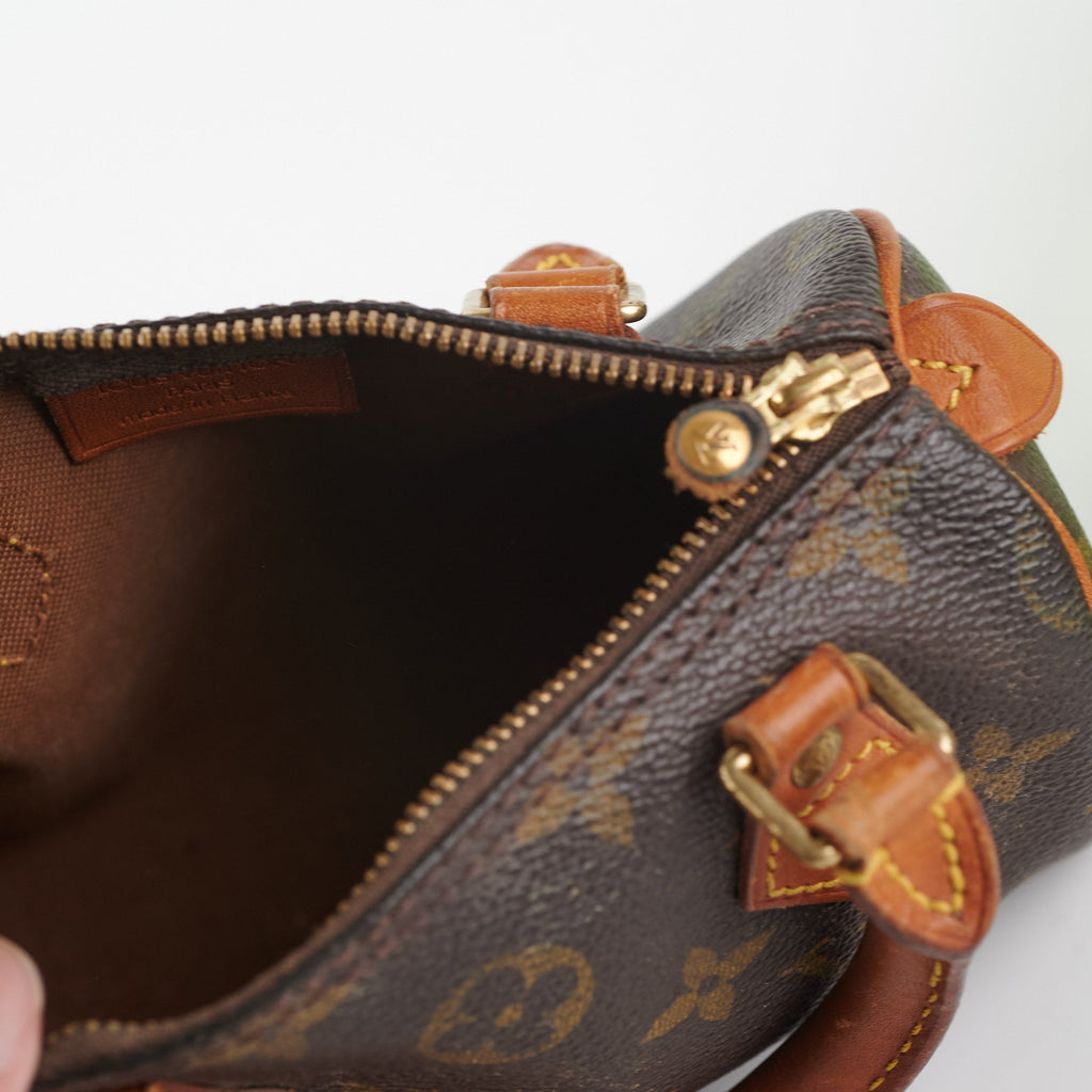 Louis Vuitton Speedy Nano Monogram