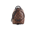 Louis Vuitton Palm Spring Mini Monogram