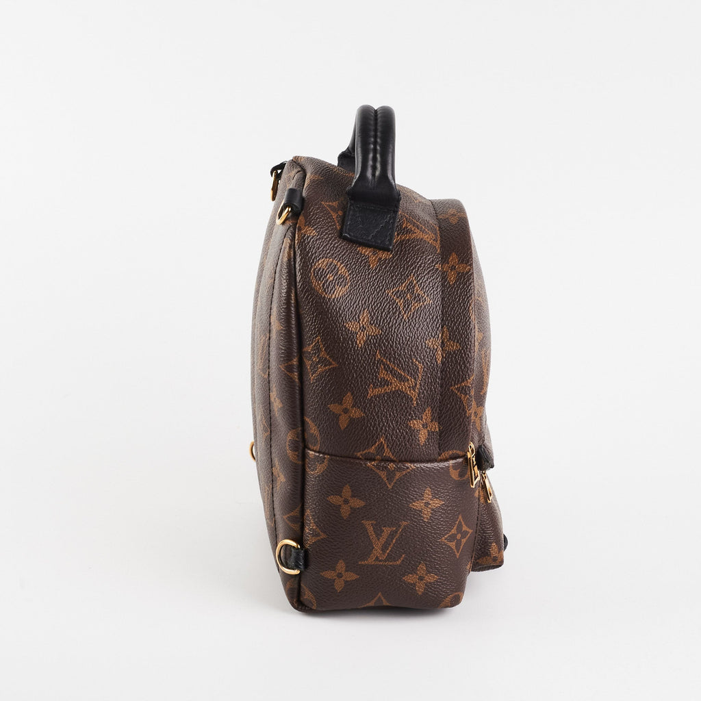 Louis Vuitton Palm Spring Mini Monogram