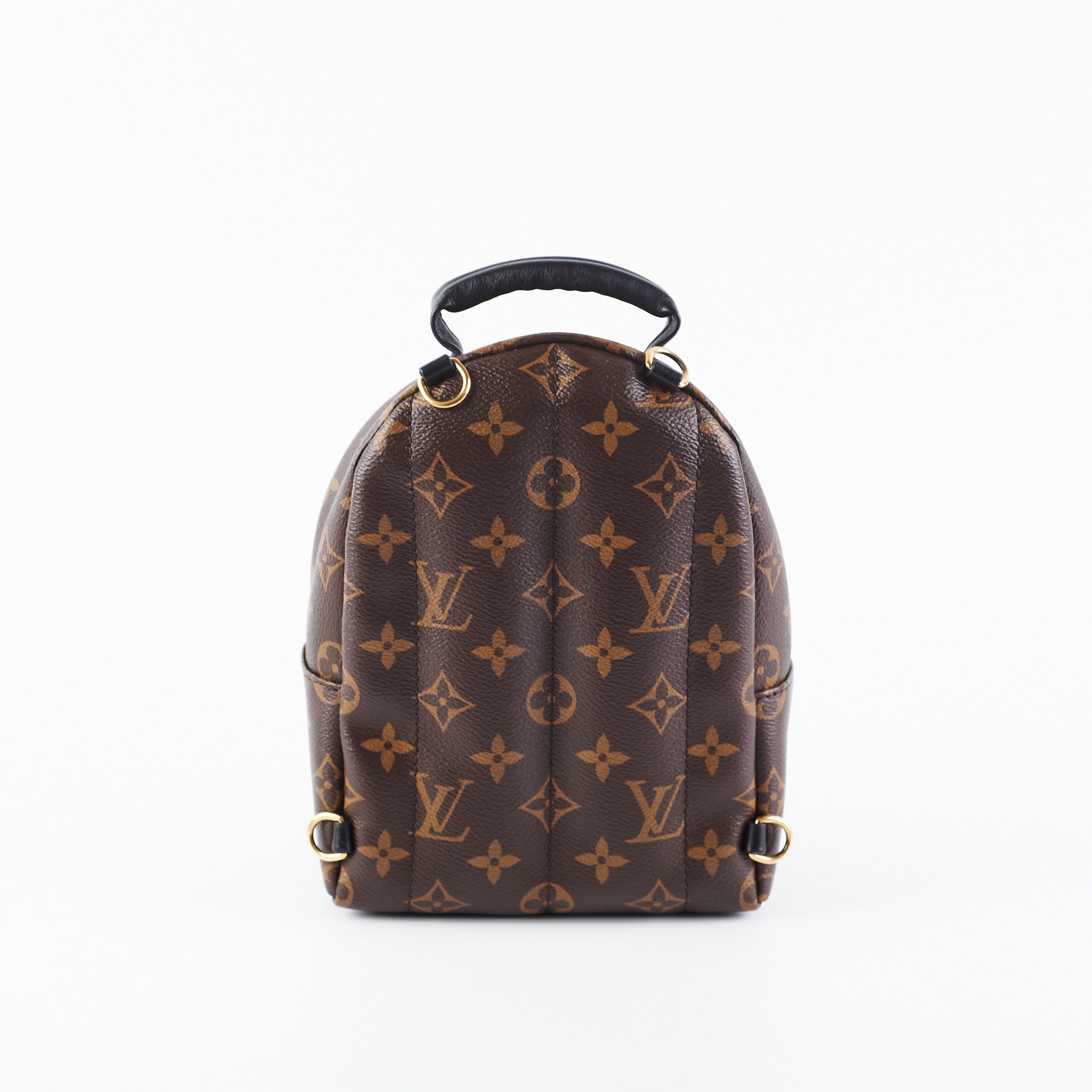 Louis Vuitton Palm Spring Mini Monogram