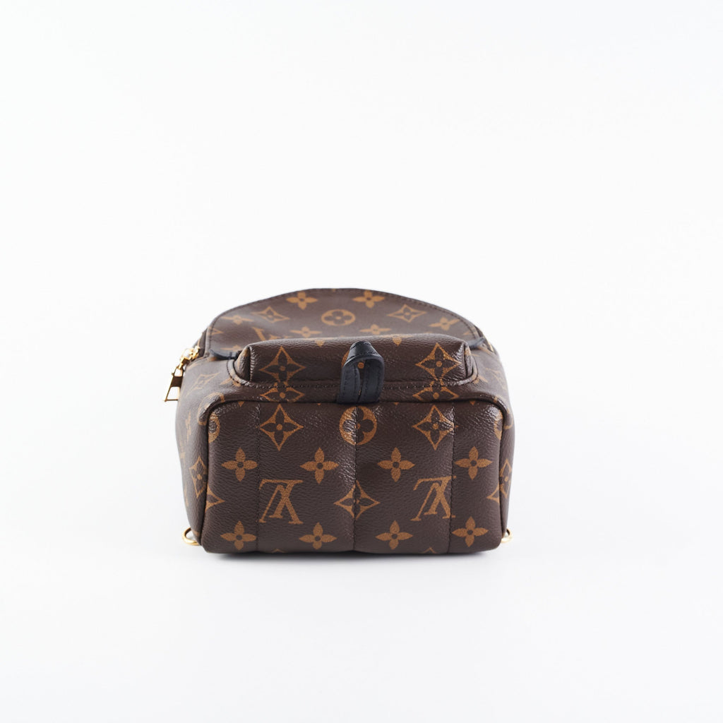Louis Vuitton Palm Spring Mini Monogram