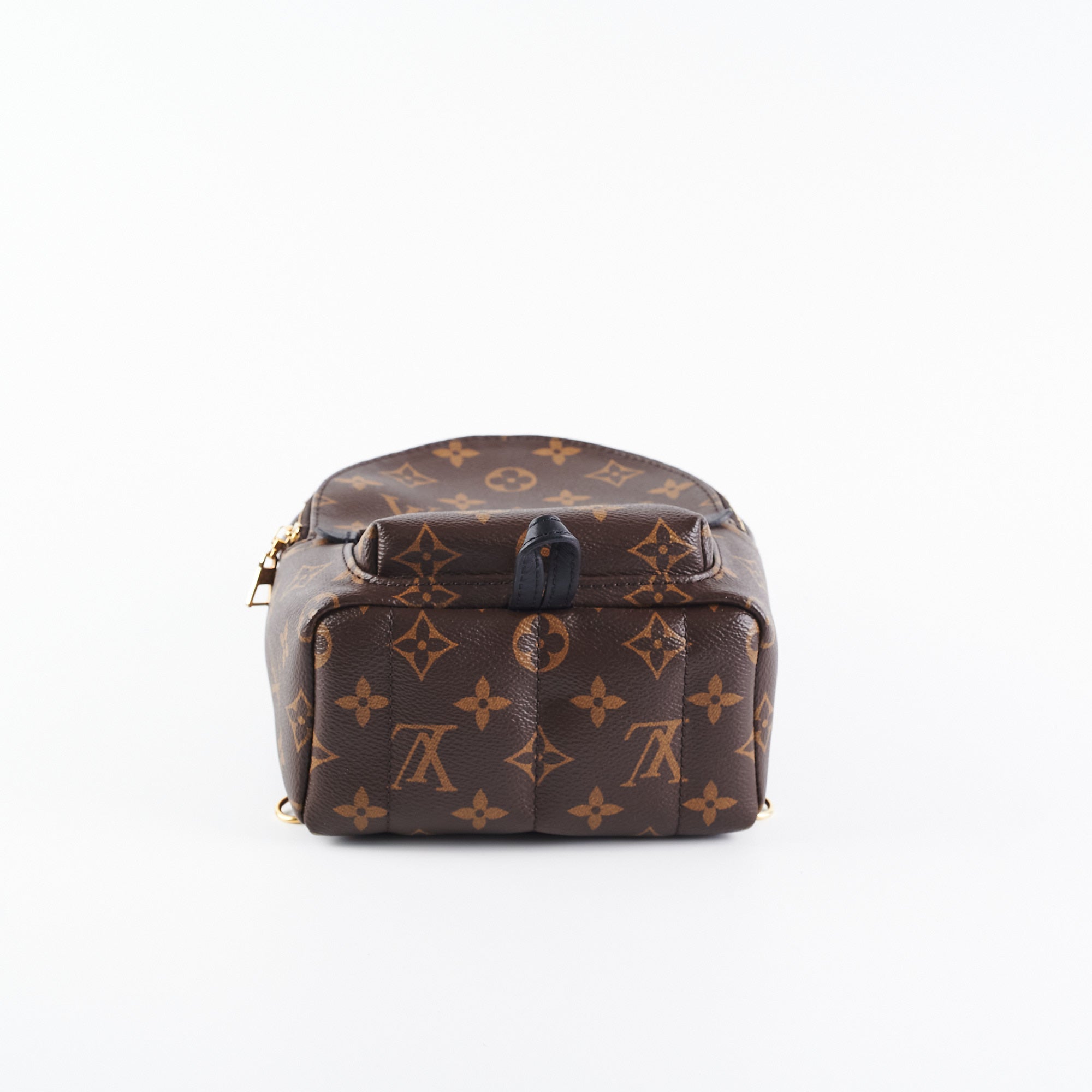 Louis Vuitton Palm Spring Mini Monogram