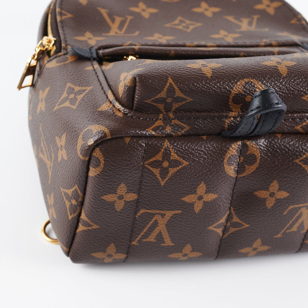 Louis Vuitton Palm Spring Mini Monogram
