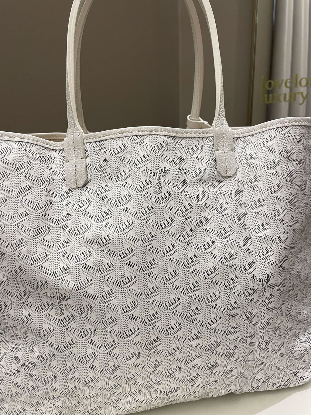 Goyard Saint Louis PM White