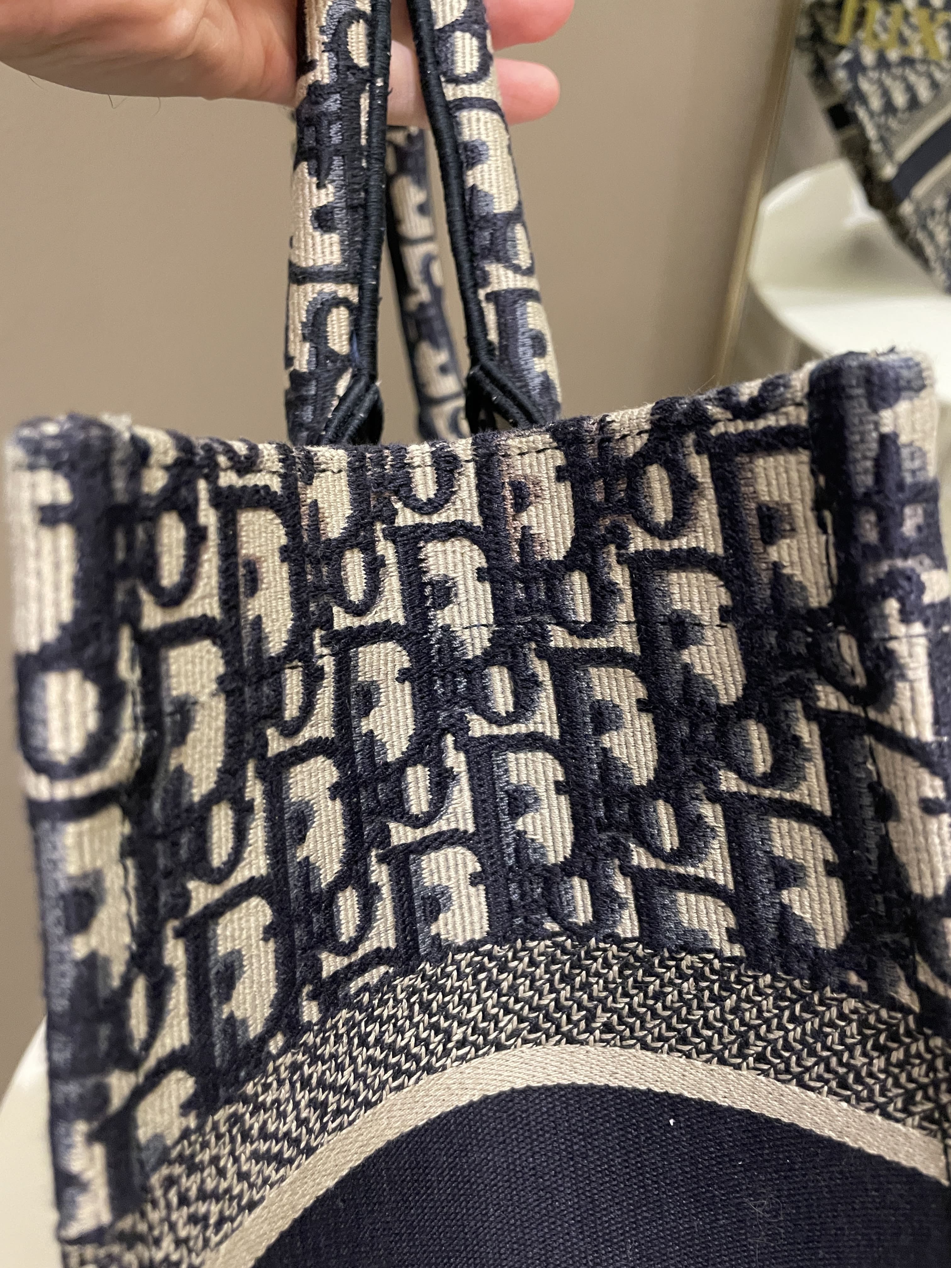 Dior Toile De Jouy Book Tote Blue Oblique