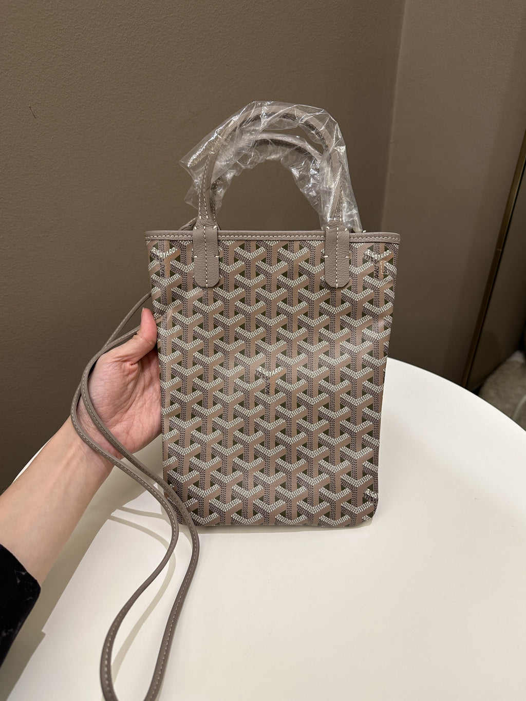 Goyard Sac Poitiers Claire-Voie Kaki Fond