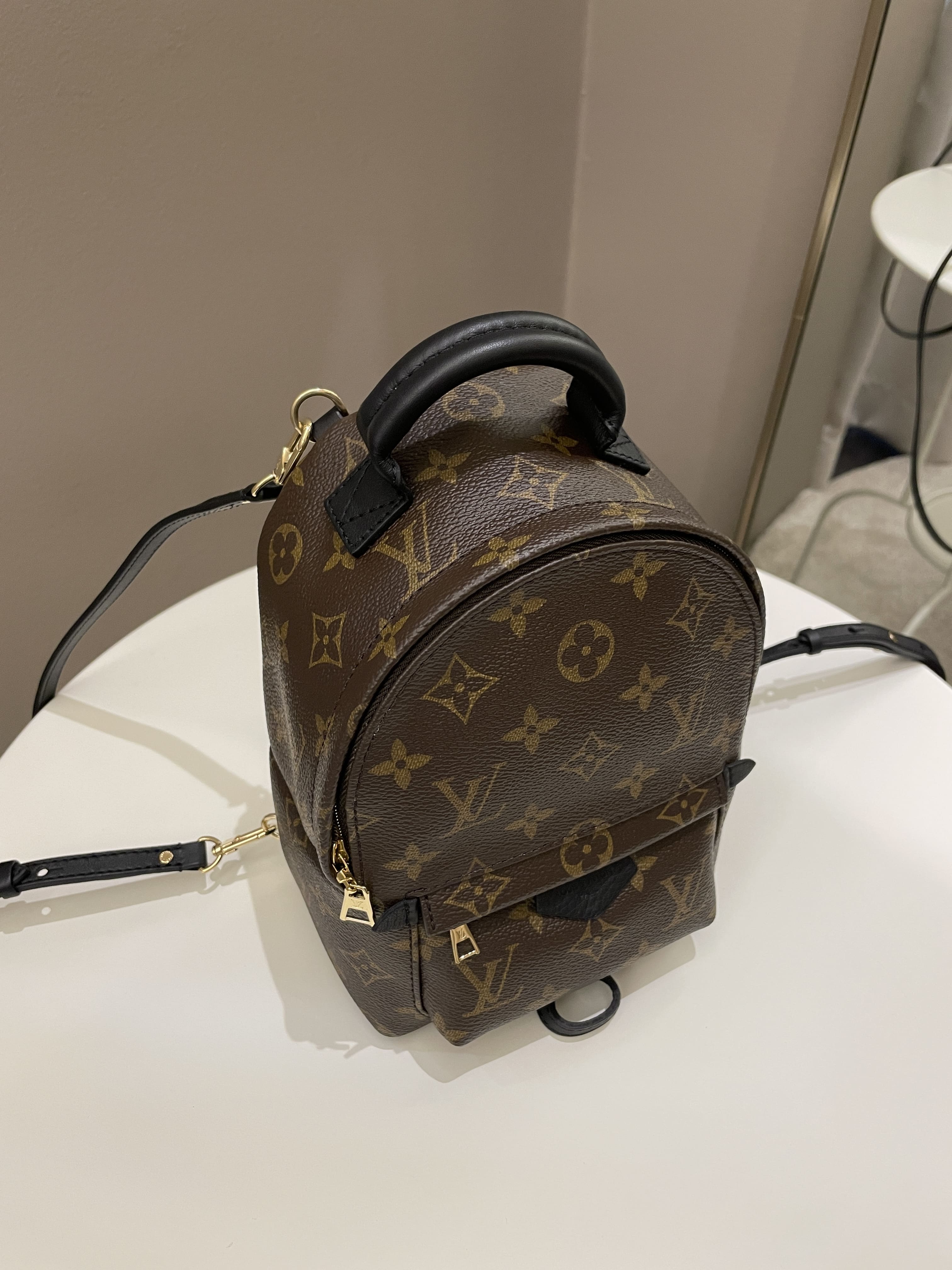 Louis Vuitton Palm Spring Mini Backpack Classic Monogram