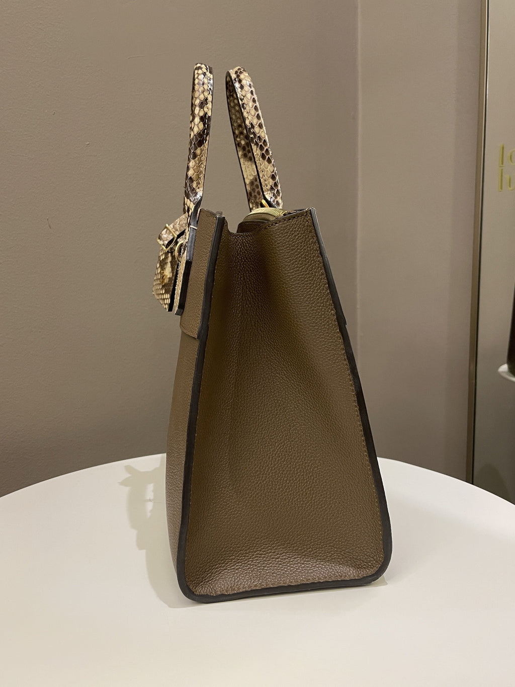 Louis Vuitton Exotic City Steamer MM Taupe Grainy Leather / Python