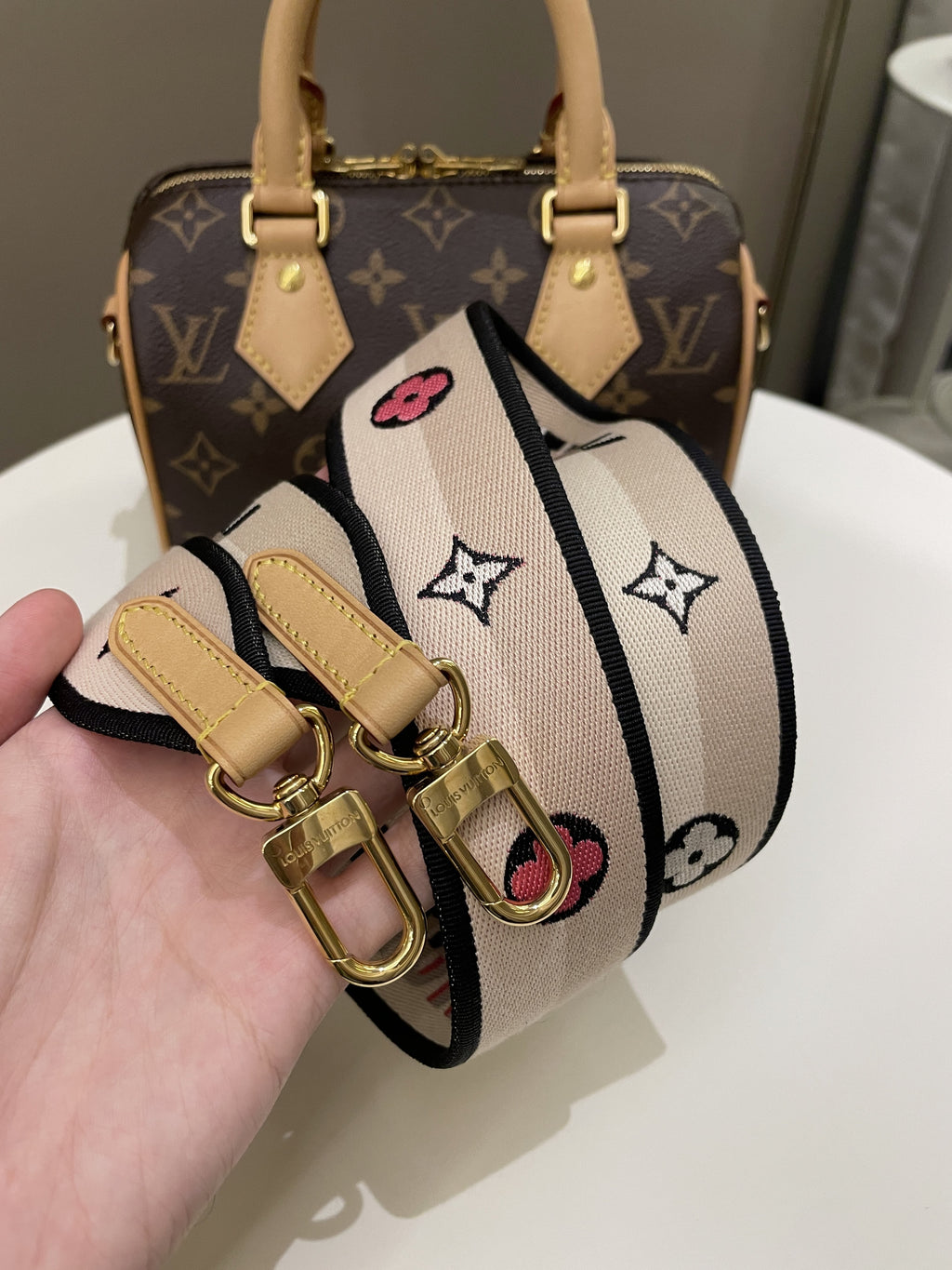 Louis Vuitton Speedy 20 Classic Monogram