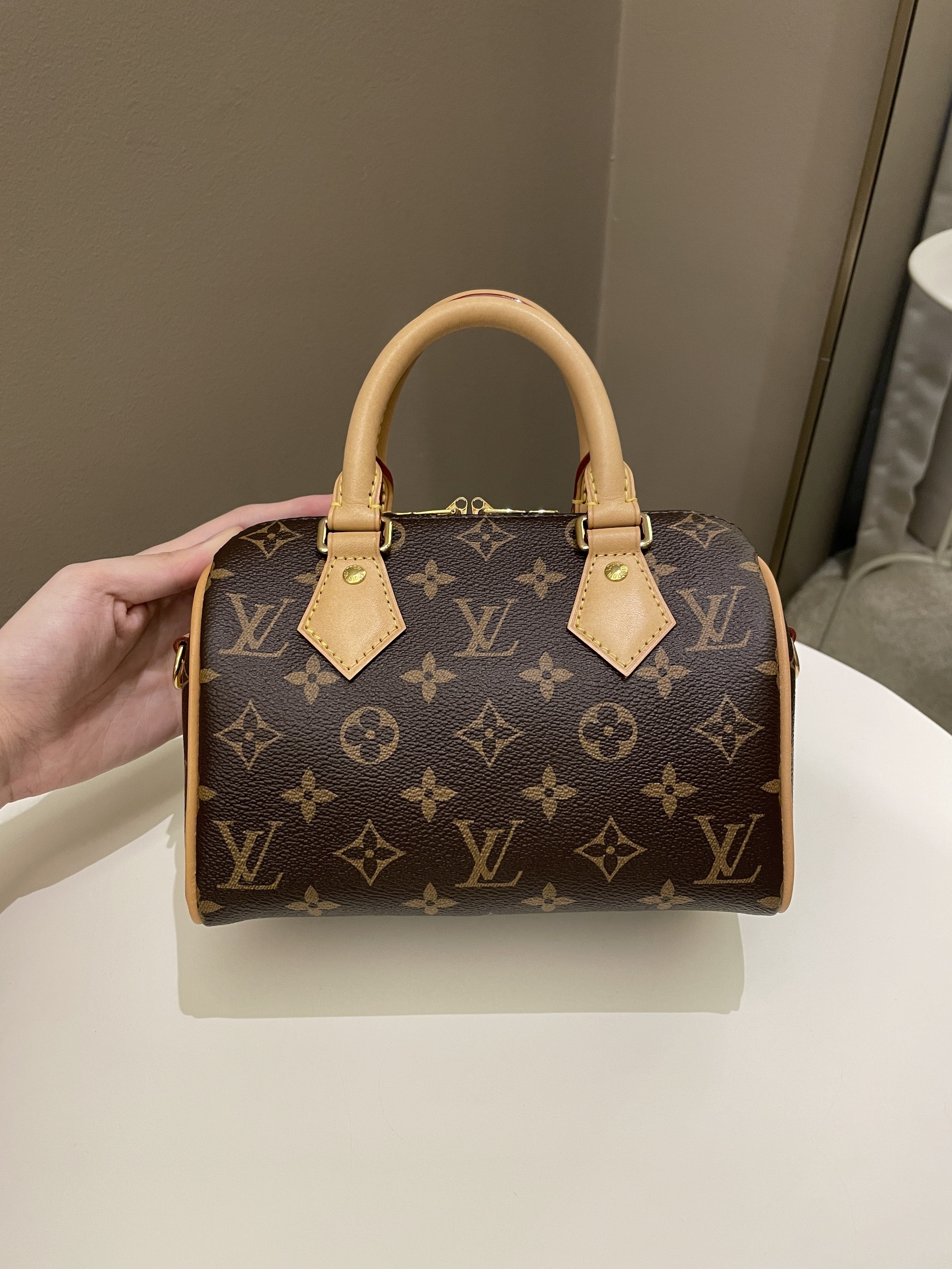 Louis Vuitton Speedy 20 Classic Monogram