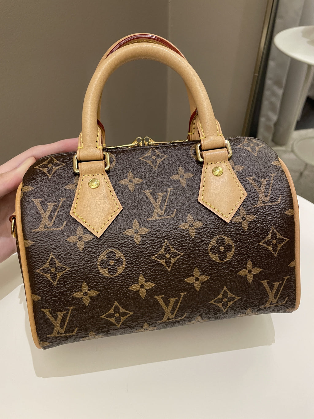 Louis Vuitton Speedy 20 Classic Monogram