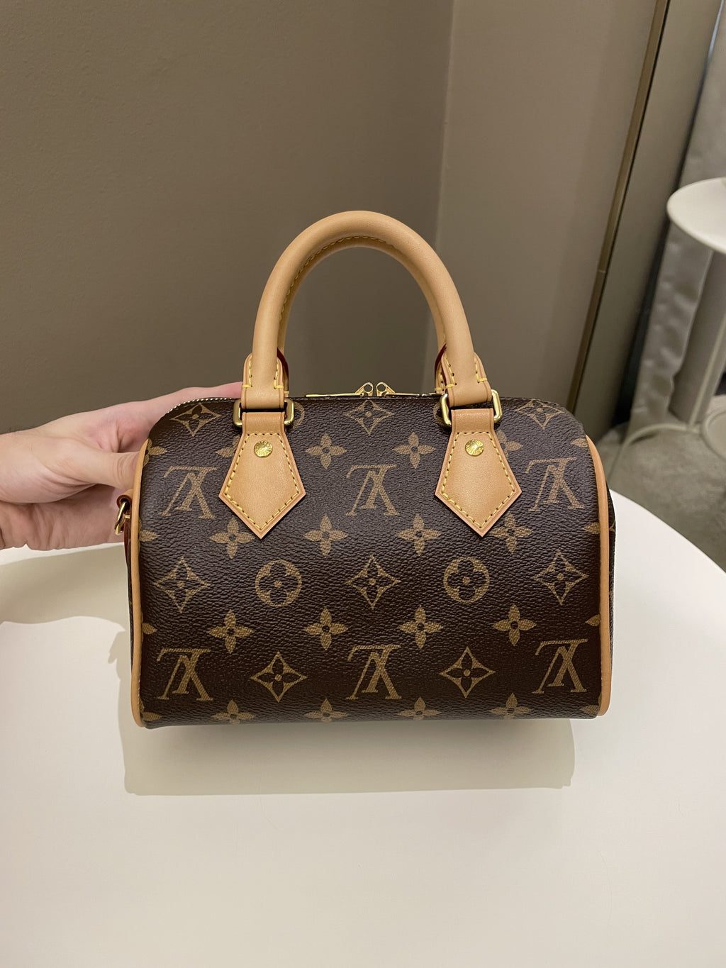Louis Vuitton Speedy 20 Classic Monogram